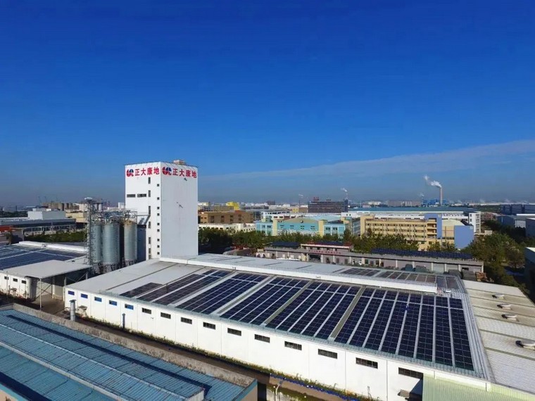 低碳新能源有什么，什么是低碳清潔新能源